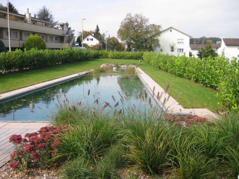 Naturpool